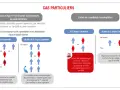 Modèle affichage liste candidats CSE : exemples de composition de listes, notamment pour les sexes minoritaires.