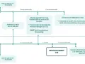Organigramme expliquant la mise en place et les missions du CSE, avec des seuils de salariés et des délais de 12 mois.