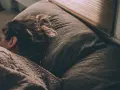Une personne dort, peut-être suite à un licenciement pour absence injustifiée, se demandant si elle a droit au chômage.