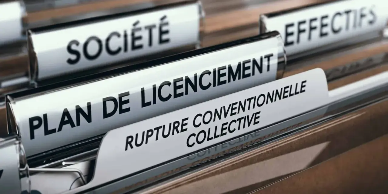 Dossiers de fichiers avec les étiquettes "Société", "Plan de licenciement" et "Rupture conventionnelle collective indemnités".