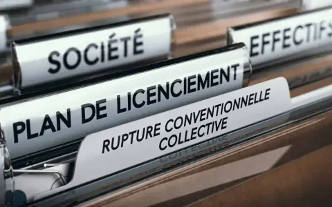 Dossiers de fichiers avec les étiquettes "Société", "Plan de licenciement" et "Rupture conventionnelle collective indemnités".