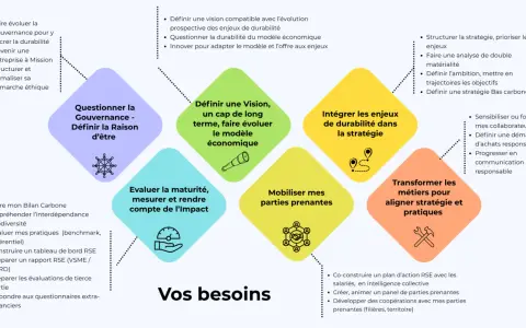 Schéma illustrant les besoins d'une entreprise en matière de gouvernance, vision, stratégie, impact, parties prenantes et transformation, pour un conseil d'entreprise axé sur la durabilité.